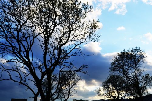 Fotografia de Tumorcita - Galeria Fotografica: Largos paseos. - Foto: 