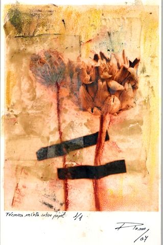 Fotografia de romo - Galeria Fotografica: desnudo-retratos-y mucho ms - Foto: cardos