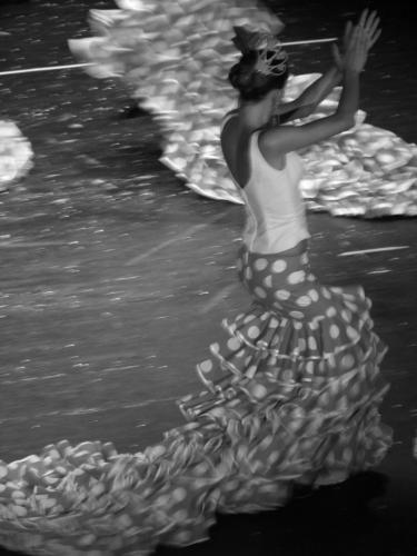 Fotografia de Gema Medin - Galeria Fotografica: Blanco y Negro - Foto: 