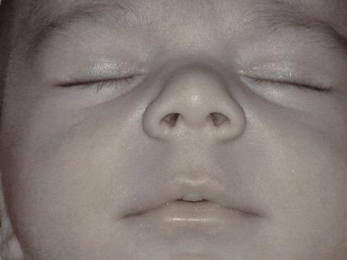 Fotografia de yna - Galeria Fotografica: Natural World - Foto: tomas emiliano