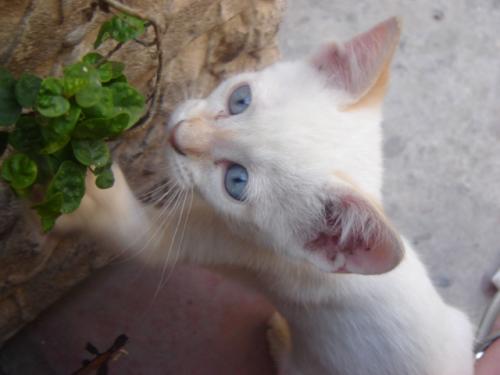 Fotografia de yna - Galeria Fotografica: Natural World - Foto: ulises