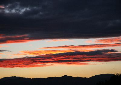 Fotografia de Ull - Galeria Fotografica: especies - Foto: Nubols