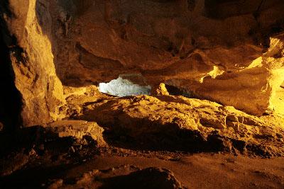 Fotografia de Ull - Galeria Fotografica: especies - Foto: Cuevas de Zugarramurdi