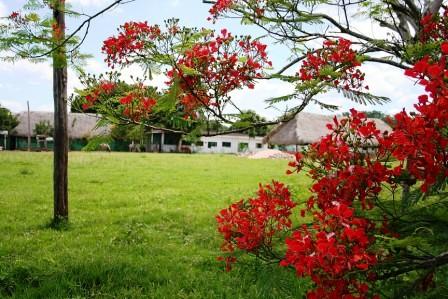 Fotografia de MOI - Galeria Fotografica: Naturaleza y Paisaje - Foto: 