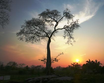 Fotografia de MOI - Galeria Fotografica: Naturaleza y Paisaje - Foto: 