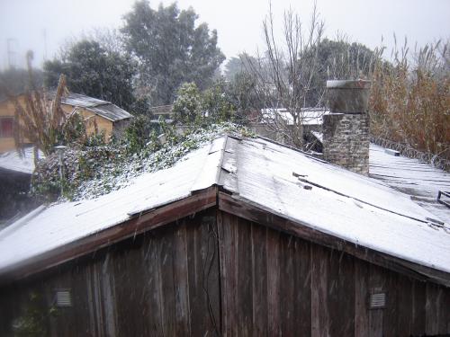 Fotografia de yna - Galeria Fotografica: Natural World - Foto: nevo en BS.AS