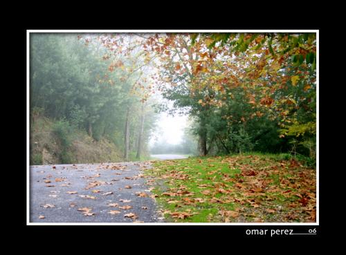 Fotografia de Omar - Galeria Fotografica: Omar nature - Foto: surge el color de la niebla