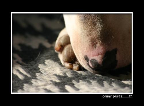 Fotografia de Omar - Galeria Fotografica: Omar nature - Foto: Chesa