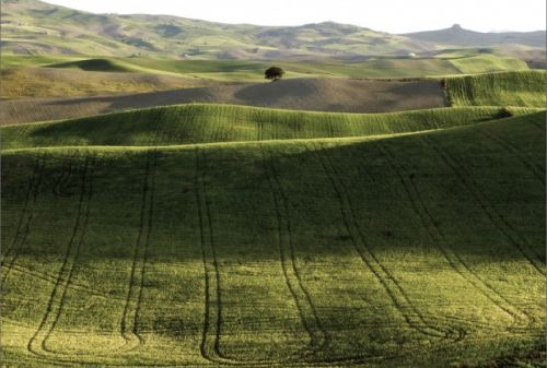 Fotografia de Sergio Conde Sanchez - Galeria Fotografica: Locations - Foto: 