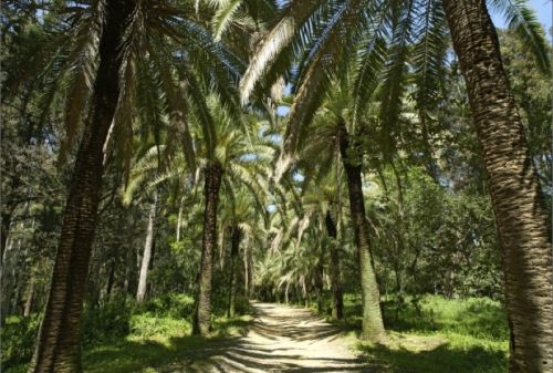 Fotografia de Sergio Conde Sanchez - Galeria Fotografica: Locations - Foto: 