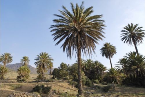 Fotografia de Sergio Conde Sanchez - Galeria Fotografica: Locations - Foto: 