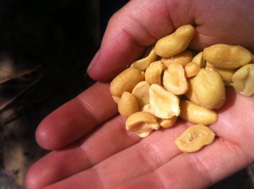 Fotografia de Toti - Galeria Fotografica: Varias - Foto: 