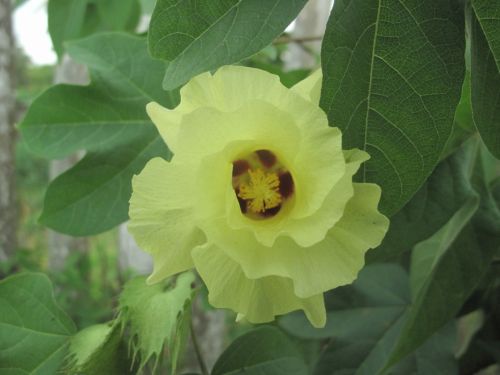 Fotografia de santiago esber - Galeria Fotografica: paz en la vida - Foto: 