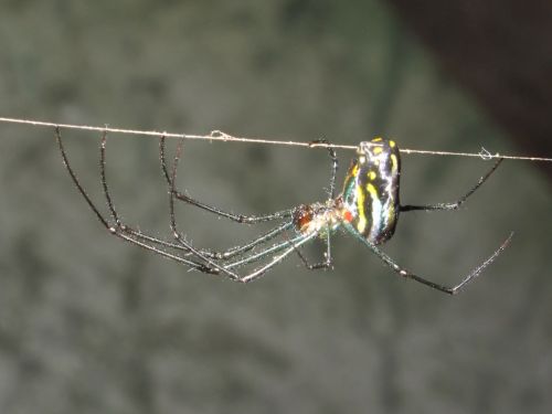 Fotografia de santiago esber - Galeria Fotografica: paz en la vida - Foto: 