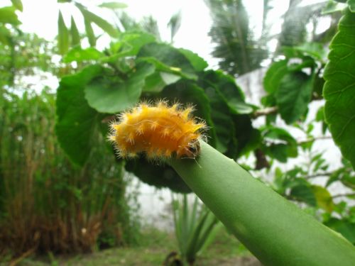 Fotografia de santiago esber - Galeria Fotografica: paz en la vida - Foto: 