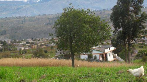 Fotografia de santiago esber - Galeria Fotografica: paz en la vida - Foto: 