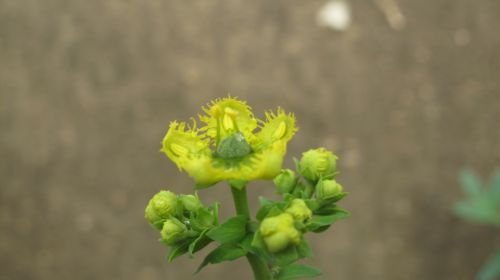 Fotografia de santiago esber - Galeria Fotografica: paz en la vida - Foto: 