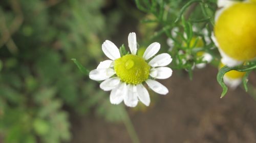 Fotografia de santiago esber - Galeria Fotografica: paz en la vida - Foto: 