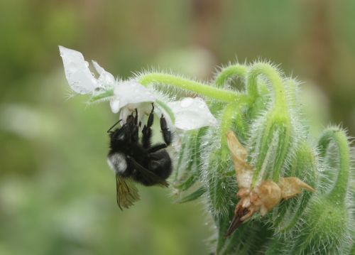 Fotografia de santiago esber - Galeria Fotografica: paz en la vida - Foto: 