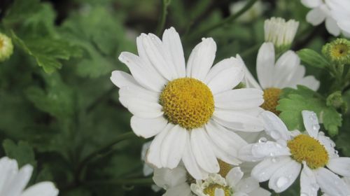 Fotografia de santiago esber - Galeria Fotografica: paz en la vida - Foto: 