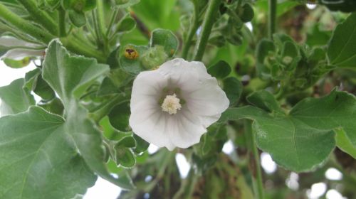 Fotografia de santiago esber - Galeria Fotografica: paz en la vida - Foto: 