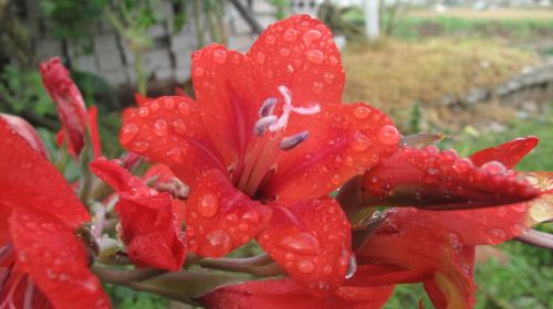 Fotografia de santiago esber - Galeria Fotografica: paz en la vida - Foto: 