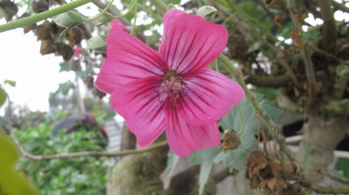 Fotografia de santiago esber - Galeria Fotografica: paz en la vida - Foto: 