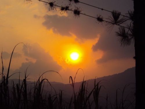 Fotografia de IRIS - Galeria Fotografica: color sky - Foto: 