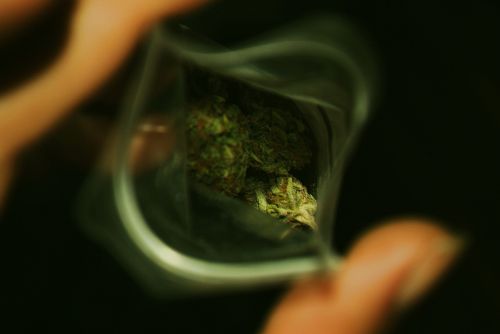 Fotografia de Nerea Calvo Polo - Galeria Fotografica: Drug. - Foto: 