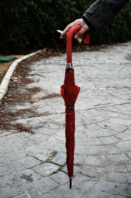 Fotografia de Nerea Calvo Polo - Galeria Fotografica: fro - Foto: 