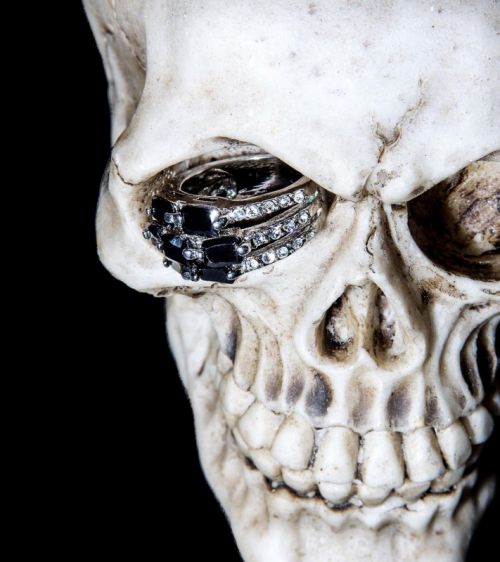 Fotografia de Natt Justice Fotografa - Galeria Fotografica: Portfolio - Foto: 