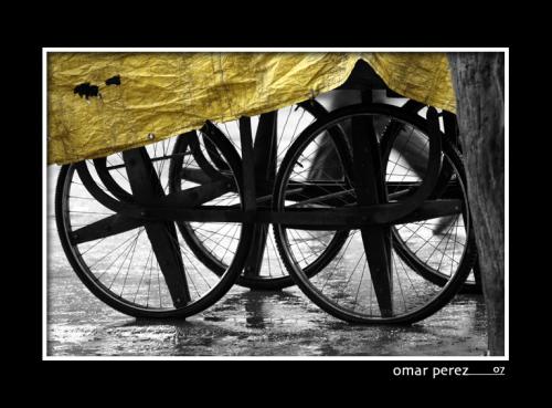 Fotografia de Omar - Galeria Fotografica: Omar. Arte - Foto: bajo la lluvia