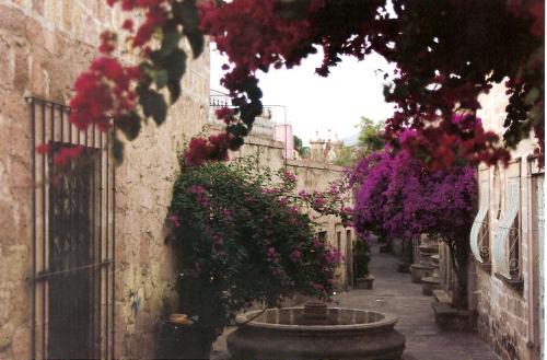 Fotografia de Efrain - Galeria Fotografica: Morelia II - Foto: Cellejon del Romance