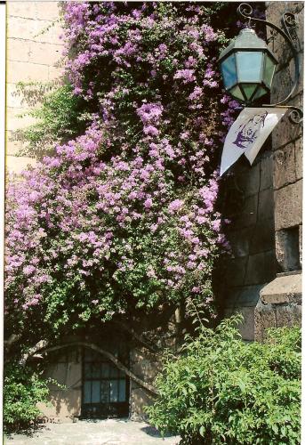 Fotografia de Efrain - Galeria Fotografica: Morelia II - Foto: Detalle Templo Las Monjas