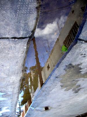 Fotografia de ElGatoRojo - Galeria Fotografica: Reflejos - Foto: Faena