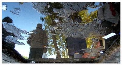 Fotografia de ElGatoRojo - Galeria Fotografica: Reflejos - Foto: Otoo