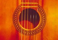 Fotografia de sandok - Galeria Fotografica: carpeta - Foto: 