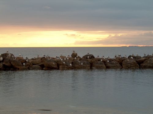 Fotografia de jlcm76 - Galeria Fotografica: NATURALEZA - Foto: El Ultimo Bao de Sol