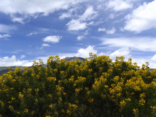 Fotografia de Lina - Galeria Fotografica: Seleccin Angel - Foto: Color