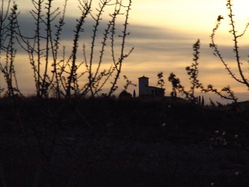 Fotografia de Lina - Galeria Fotografica: Seleccin Angel - Foto: Atardecer camino Monasterio Piedra