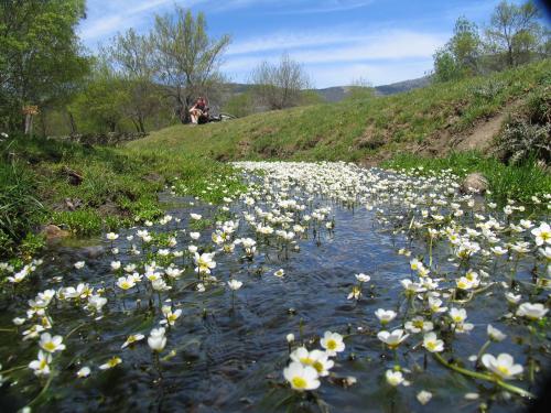 Fotografia de Lina - Galeria Fotografica: Seleccin Angel - Foto: Paseo Primaveral