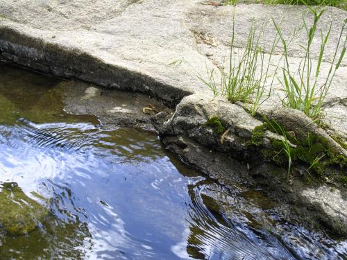 Fotografia de Lina - Galeria Fotografica: Color, reflejos, vida.... - Foto: Reflejos coloreados