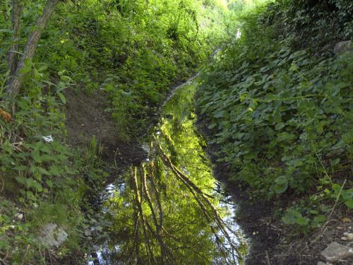 Fotografia de Lina - Galeria Fotografica: Color, reflejos, vida.... - Foto: Reflejos