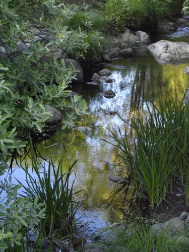 Fotografia de Lina - Galeria Fotografica: Color, reflejos, vida.... - Foto: Reflejos 2