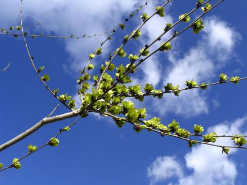 Fotografia de Lina - Galeria Fotografica: Color, reflejos, vida.... - Foto: Color