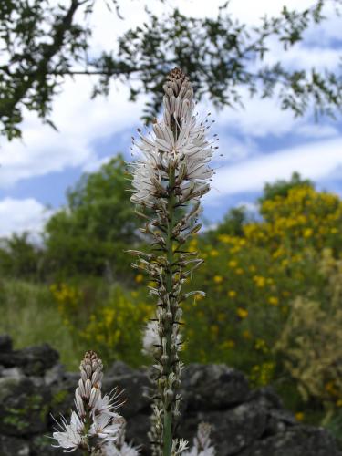 Fotografia de Lina - Galeria Fotografica: Color, reflejos, vida.... - Foto: Armonia