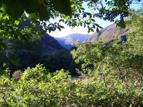 Fotografia de Lemuel - Galeria Fotografica: Mundo Perdido - Foto: La vision de los casta�os