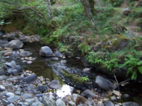 Fotografia de Lemuel - Galeria Fotografica: Mundo Perdido - Foto: Peregrinaci�n del agua