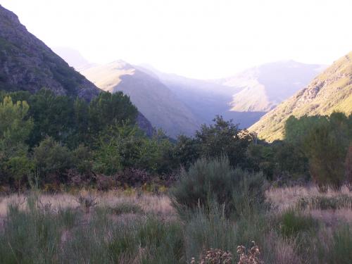 Fotografia de Lemuel - Galeria Fotografica: Mundo Perdido - Foto: De camino a las alturas