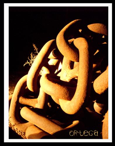 Fotografia de ercolo - Galeria Fotografica: Y por que NO ? - Foto: Unidos hasta el final